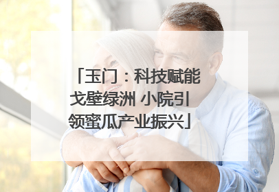 玉门：科技赋能戈壁绿洲 小院引领蜜瓜产业振兴