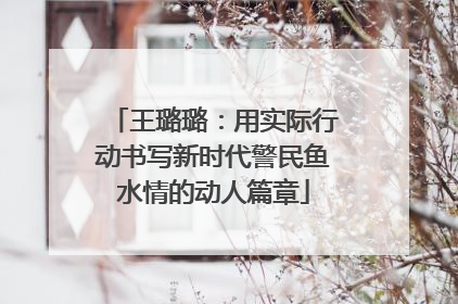 王璐璐：用实际行动书写新时代警民鱼水情的动人篇章