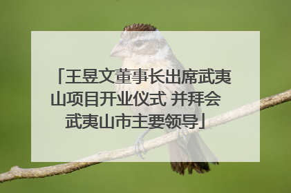 王昱文董事长出席武夷山项目开业仪式 并拜会武夷山市主要领导