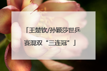 王楚钦/孙颖莎世乒赛混双“三连冠”