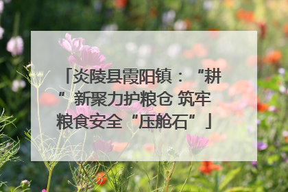 炎陵县霞阳镇：“耕”新聚力护粮仓 筑牢粮食安全“压舱石”