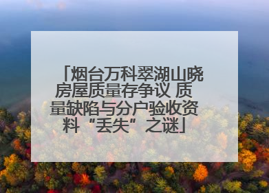 烟台万科翠湖山晓房屋质量存争议 质量缺陷与分户验收资料“丢失”之谜