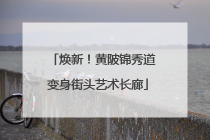 焕新！黄陂锦秀道变身街头艺术长廊