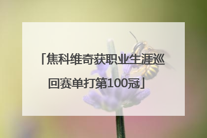 焦科维奇获职业生涯巡回赛单打第100冠