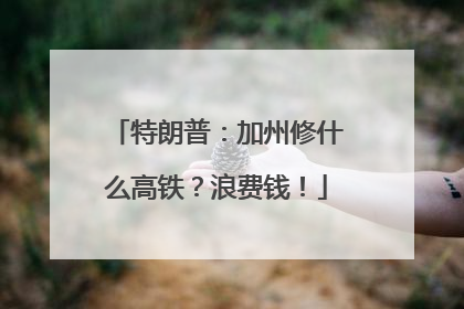 特朗普：加州修什么高铁？浪费钱！