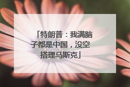 特朗普：我满脑子都是中国，没空搭理马斯克