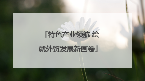 特色产业领航 绘就外贸发展新画卷