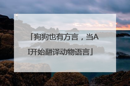 狗狗也有方言，当AI开始翻译动物语言