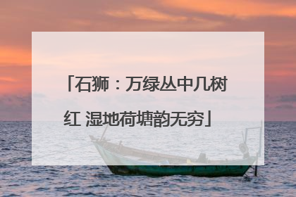 石狮：万绿丛中几树红 湿地荷塘韵无穷