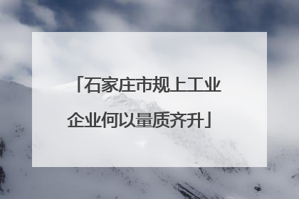 石家庄市规上工业企业何以量质齐升