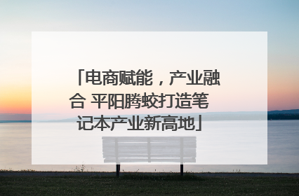电商赋能，产业融合 平阳腾蛟打造笔记本产业新高地