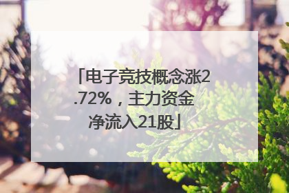 电子竞技概念涨2.72%，主力资金净流入21股