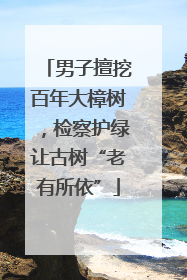 男子擅挖百年大樟树，检察护绿让古树“老有所依”