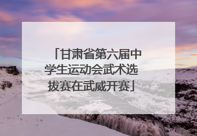 甘肃省第六届中学生运动会武术选拔赛在武威开赛