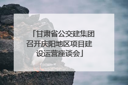 甘肃省公交建集团召开庆阳地区项目建设运营座谈会