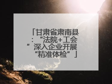 甘肃省肃南县：“法院+工会”深入企业开展“精准体检”