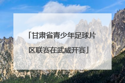 甘肃省青少年足球片区联赛在武威开赛