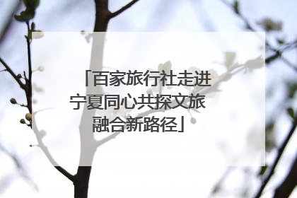 百家旅行社走进宁夏同心共探文旅融合新路径