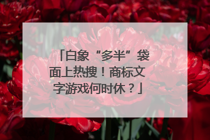 白象“多半”袋面上热搜！商标文字游戏何时休？