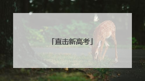 直击新高考