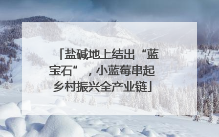 盐碱地上结出“蓝宝石”，小蓝莓串起乡村振兴全产业链