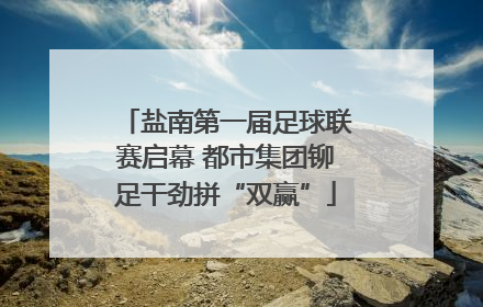 盐南第一届足球联赛启幕 都市集团铆足干劲拼“双赢”
