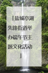 盐城亭湖先锋街道举办端午节主题文化活动