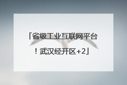省级工业互联网平台！武汉经开区+2