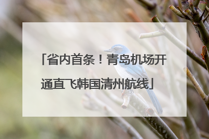省内首条！青岛机场开通直飞韩国清州航线