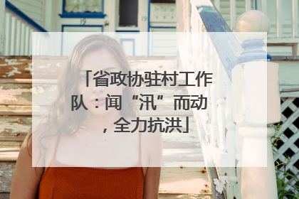 省政协驻村工作队：闻“汛”而动，全力抗洪