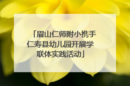 眉山仁师附小携手仁寿县幼儿园开展学联体实践活动