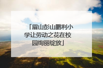 眉山彭山鹏利小学让劳动之花在校园绚丽绽放