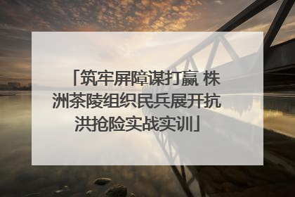 筑牢屏障谋打赢 株洲茶陵组织民兵展开抗洪抢险实战实训