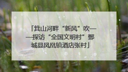 箕山河畔“新风”吹——探访“全国文明村”鄄城县凤凰镇酒店张村