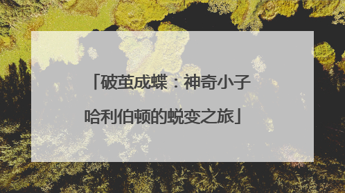 破茧成蝶：神奇小子哈利伯顿的蜕变之旅