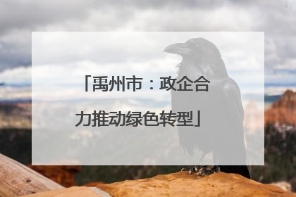 禹州市：政企合力推动绿色转型