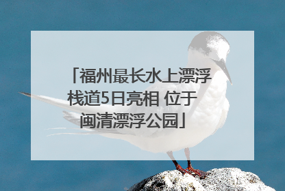 福州最长水上漂浮栈道5日亮相 位于闽清漂浮公园