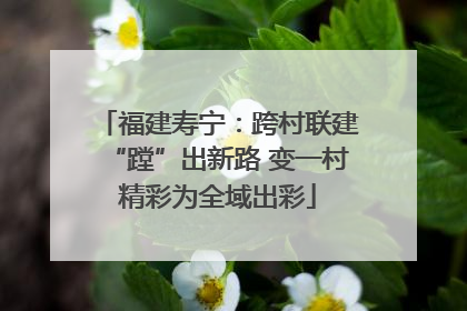 福建寿宁：跨村联建“蹚”出新路 变一村精彩为全域出彩