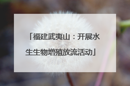 福建武夷山：开展水生生物增殖放流活动