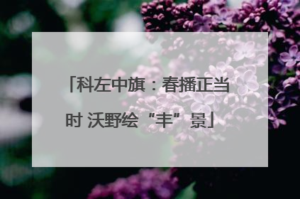 科左中旗：春播正当时 沃野绘“丰”景