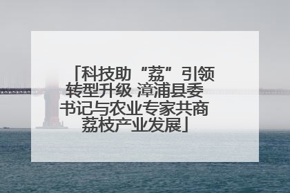 科技助“荔”引领转型升级 漳浦县委书记与农业专家共商荔枝产业发展