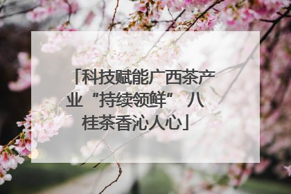 科技赋能广西茶产业“持续领鲜” 八桂茶香沁人心