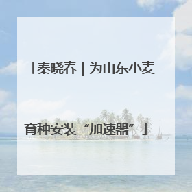 秦晓春｜为山东小麦育种安装“加速器”