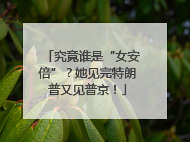 究竟谁是“女安倍”？她见完特朗普又见普京！