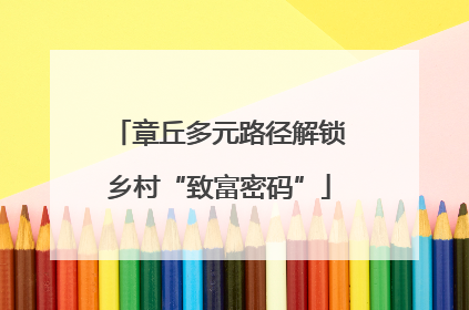 章丘多元路径解锁乡村“致富密码”