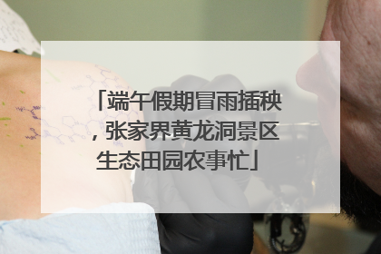 端午假期冒雨插秧，张家界黄龙洞景区生态田园农事忙