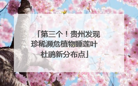 第三个！贵州发现珍稀濒危植物睡莲叶杜鹃新分布点