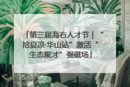 第三届海右人才节｜“拾夏凉·华山站”激活“生态聚才”强磁场