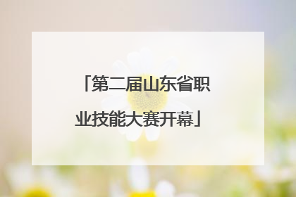 第二届山东省职业技能大赛开幕