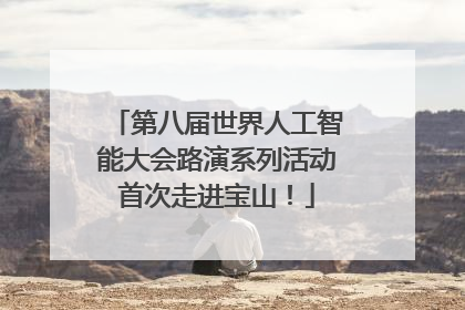 第八届世界人工智能大会路演系列活动首次走进宝山！